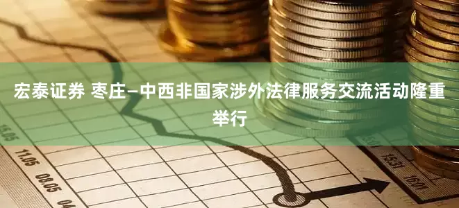 宏泰证券 枣庄—中西非国家涉外法律服务交流活动隆重举行