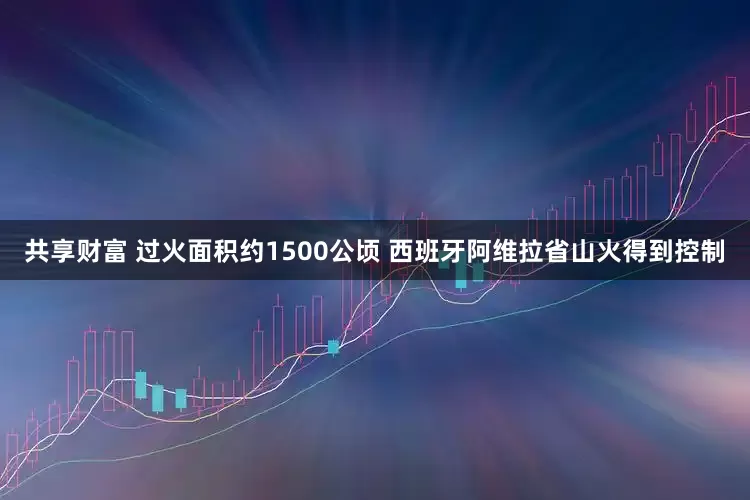 共享财富 过火面积约1500公顷 西班牙阿维拉省山火得到控制