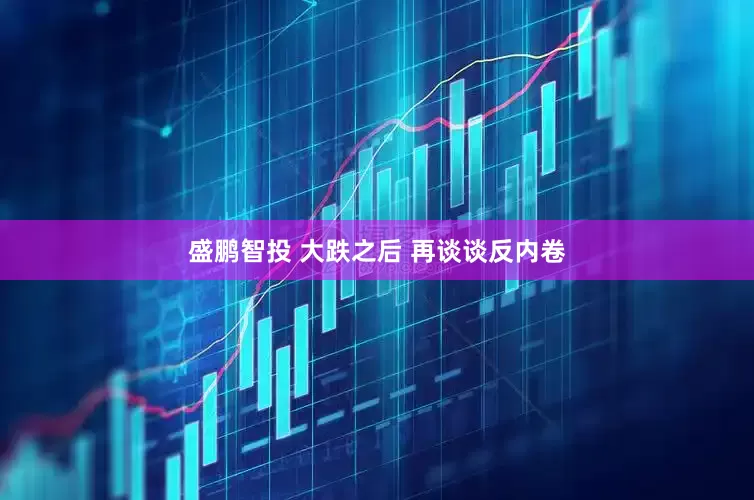 盛鹏智投 大跌之后 再谈谈反内卷