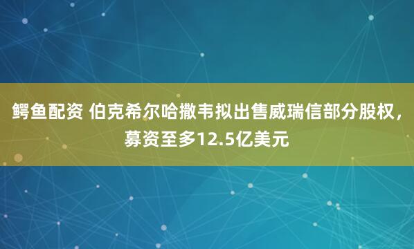 鳄鱼配资 伯克希尔哈撒韦拟出售威瑞信部分股权，募资至多12.5亿美元